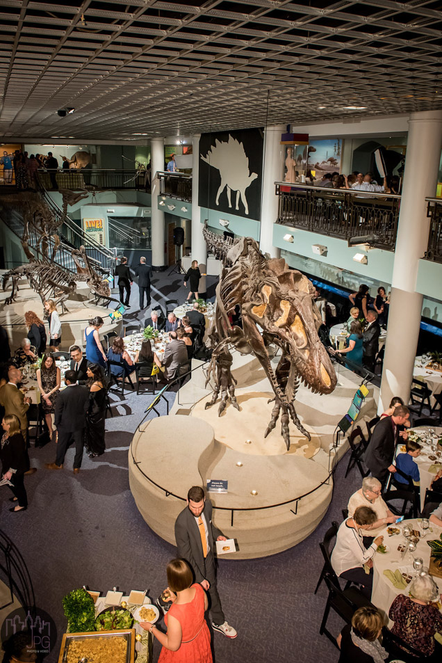 dinosaur hall